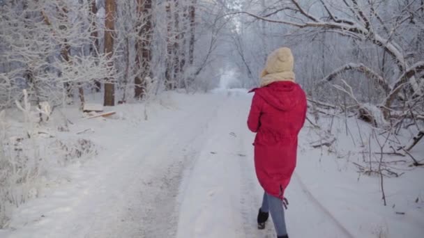 在一个美丽寒冷的早晨，一个女人走在雪地覆盖着树木的冬季森林里。慢动作 — 图库视频影像