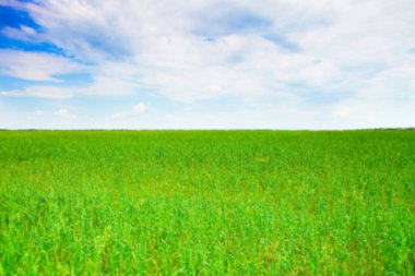 Odaklanmamış doğa arka plan