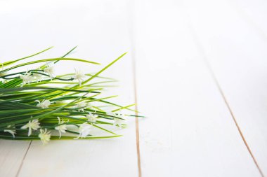 Temiz ahşap arka planda bahar çiçekleri. 