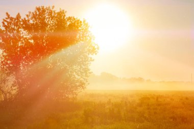 Yaz mevsiminde alışılmadık bir nehir sisi. Gün doğumu ya da gün batımı.