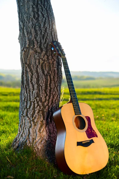 Gitara Klasyczna Podparta Pień Drzewa Trawie Tła — Zdjęcie stockowe