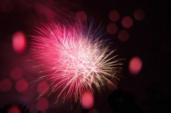 Fuegos Artificiales Celebración Año Nuevo Gran Fiesta Gran País Celebración — Foto de Stock