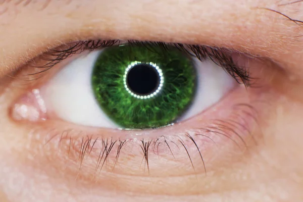 Zielone Oko Makro Tle Zbliżenie — Zdjęcie stockowe