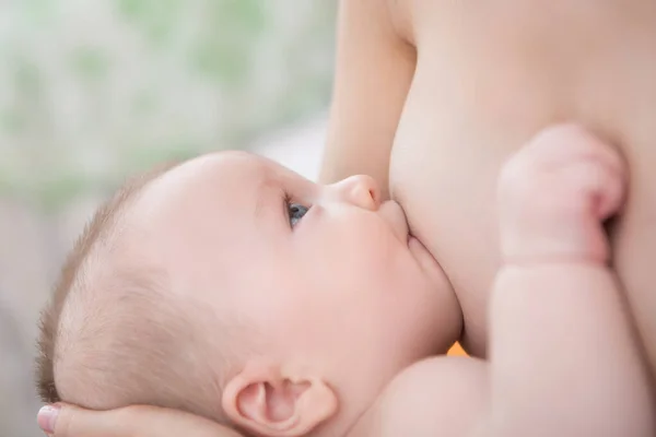 Mãe Está Amamentar Bebé Recém Nascido Menino Bebê Amamentando — Fotografia de Stock