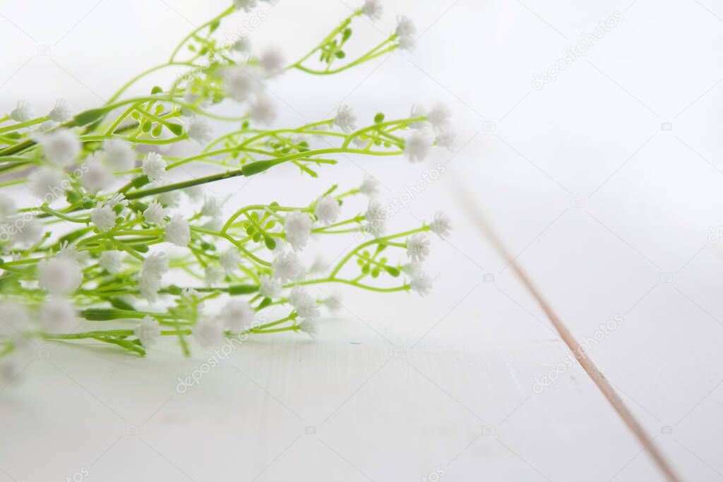 wildflowers on white wooden clear table background