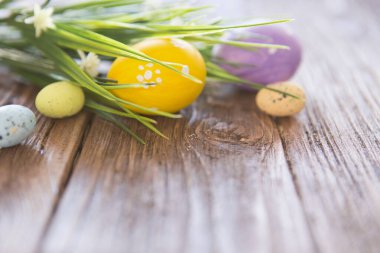Kırsal arka planda Paskalya yumurtaları ve bahar çiçekleri.