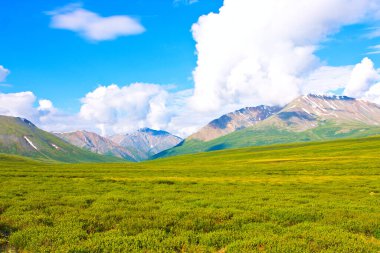 Doğa arka planında dağlar çayır