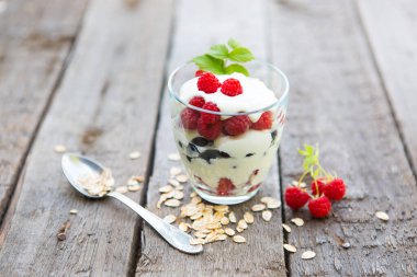 Doğal yoğurt, taze ahududu, siyah frenk üzümü ve müsli. Sağlıklı tatlı..