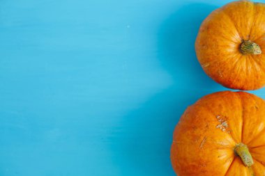 Mavi ahşap arka planda balkabakları Şükran Günü ve Cadılar Bayramı konsepti. Yukarıdan bak. Üst Manzara. Metin ve tasarım için boşluk kopyala