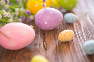 Kırsal bir arka planda Paskalya yumurtaları ve bahar çiçekleri.