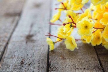 Altın yaprak, sakura. Temiz ahşap arka planda bahar çiçekleri. 