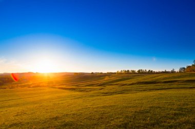Sarı Saha ve Güzel Gün Batımı. Arazili Yaz Manzarası. 