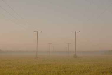 Sabahın erken saatlerinde sisli bir elektrik direği.