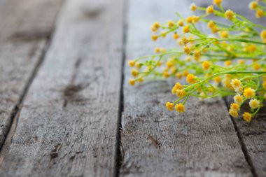 Tahta masada bahar çiçekleri. Anneler Günü ya da Paskalya tasarımı. İlkbahar. 