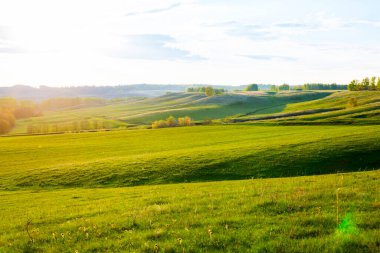 Yeşil Saha ve Güzel Gün Batımı. Bahar çimleri ve orman tarlaları