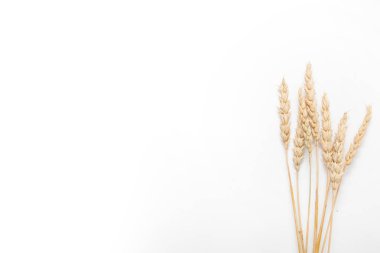 Arkaplanda buğday Bunch, kapat