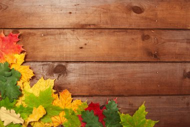 Sonbahar yaprakları ahşap zemin üzerinde fotokopi alanı ile birlikte. Çerçeve.