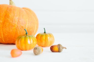 Cadılar Bayramı 'nın tatil görüntüsü. Beyaz tahta üzerinde balkabakları Organik gıda ve sağlıklı gıda kavramı Şükran Günü ve Cadılar Bayramı kavramı.