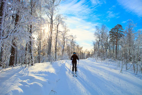 Skier Sur Fond Nature Hivernale — Photo