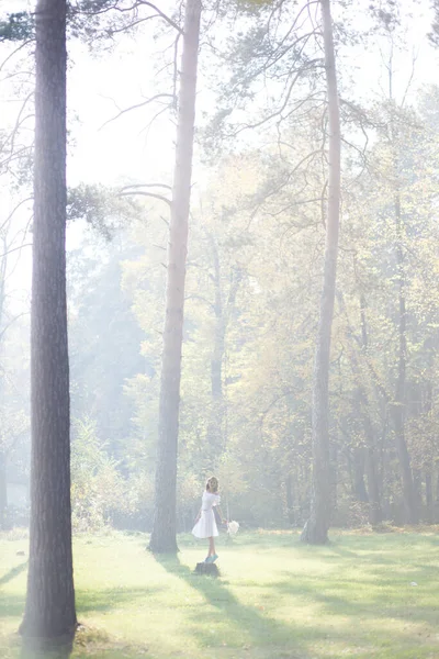 Lovely Bride Outdoors Forest Sun Rays Beating Woman Walking Forest — Stock Photo, Image