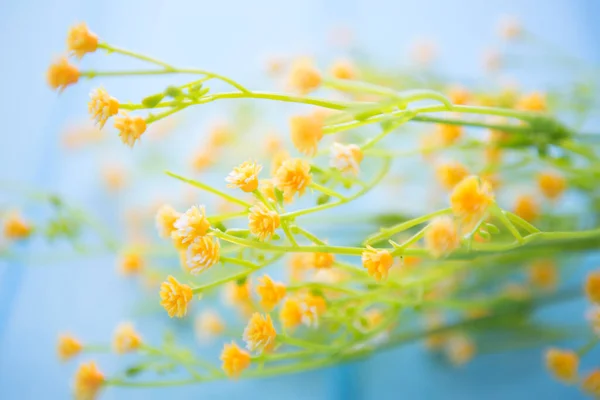 Frühlingsblumen Auf Dem Holztisch Muttertags Oder Ostergestaltung Frühlingszeit — Stockfoto