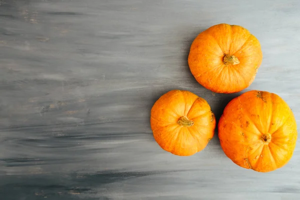 Thanksgiving Och Halloween Pumpor Över Grå Trä Bord Bakgrund Skott — Stockfoto