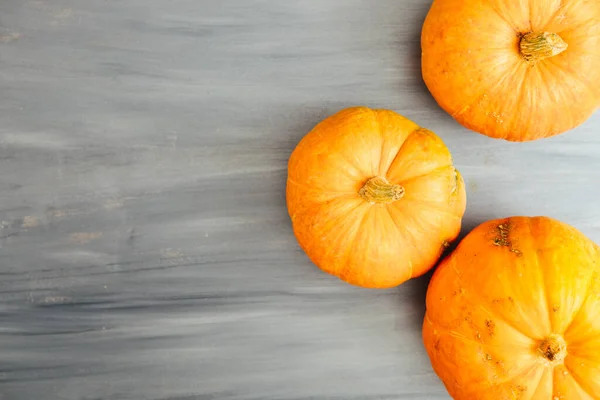 Top Gränsen Två Orange Pumpor Ljusgrå Trä Bakgrund Med Kopia — Stockfoto