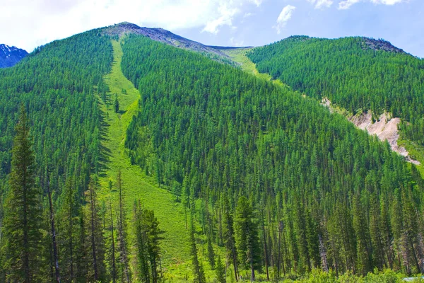 Berg Skog Natur Bakgrund — Stockfoto