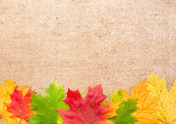 Autumn Leaves Textile Frame Fall Concept — Stock Photo, Image
