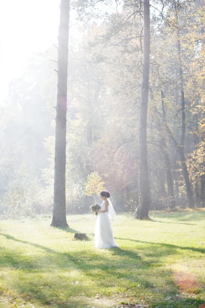 Hermosa Mujer Niebla Mañana Bosque Otoño — Foto de Stock