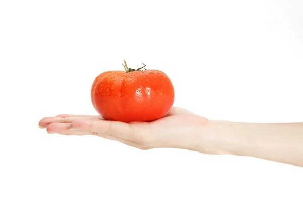 一只手拿着一个白色背景的鲜红美味西红柿的雌性手 — 图库照片