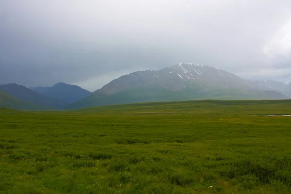 Mountains Meadow Nature Background — Stock Photo, Image