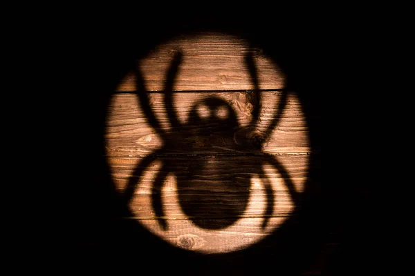 Gran Sombra Araña Fondo Madera Halloween — Foto de Stock