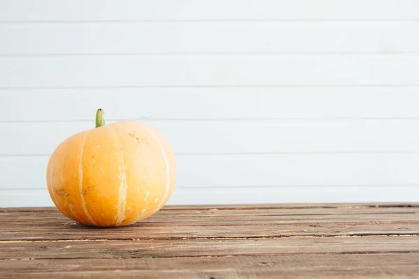 Orange Pumpkin Grunge Wooden Backdrop White Wooden Wall Organic Food — Stock Photo, Image