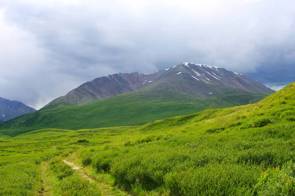 Mountains Meadow Nature Background — Stock Photo, Image