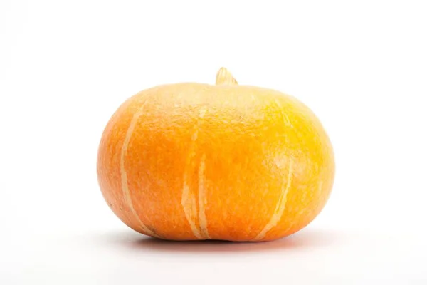 Orange Pumpkin White Background — Stock Photo, Image