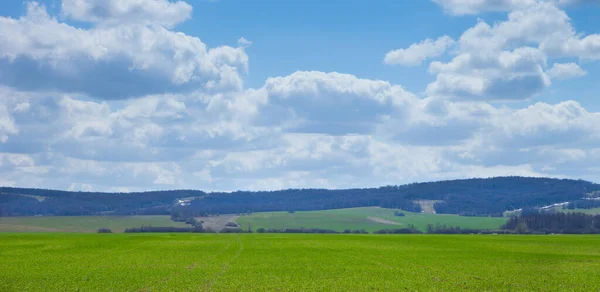 Green Field Landscape Nature Background — Stock Photo, Image