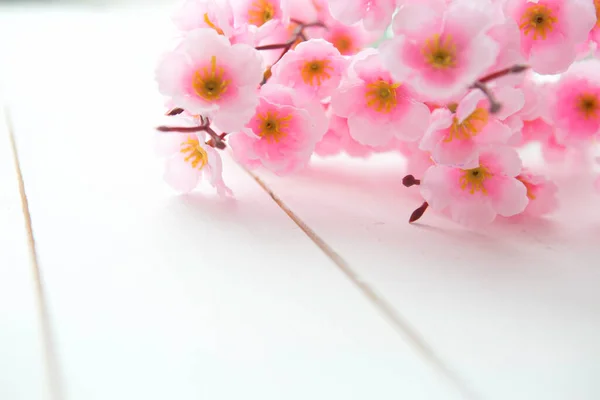 Fond Bois Avec Des Fleurs Printemps Fleur Poire — Photo