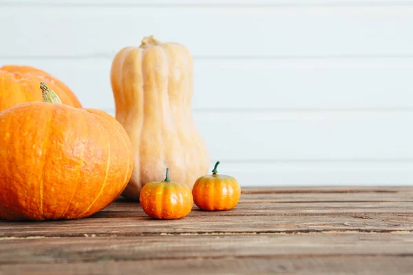 Autumn Orange Pumpkins Old Wooden Table White Wooden Wall Organic — Stock Photo, Image