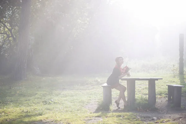 Schöne Frau Herbstpark Sonnenstrahlen Schlagen Auf Frau Ein Die Wald — Stockfoto