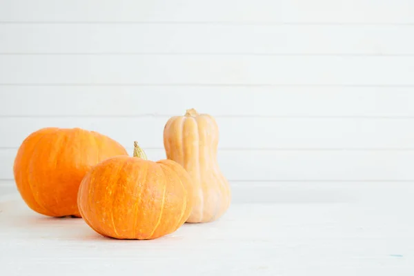 Orange Pumpkins White Planks Holiday Decoration Organic Food Healthy Food — Stock Photo, Image