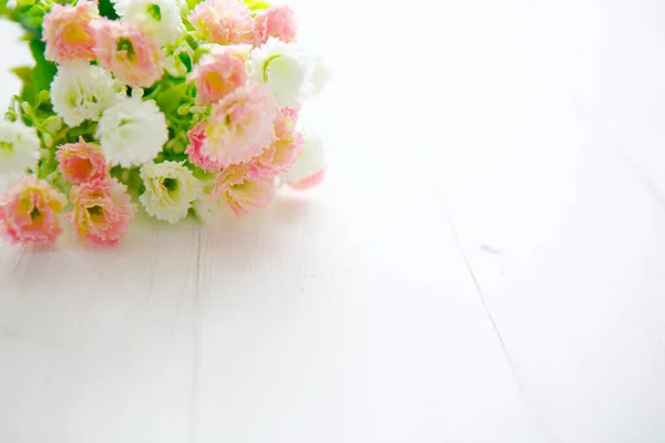 Primavera Blossom Sobre Fundo Madeira Branca Clara — Fotografia de Stock