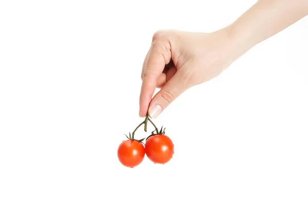 一只手拿着一个白色背景的鲜红美味西红柿的雌性手 — 图库照片