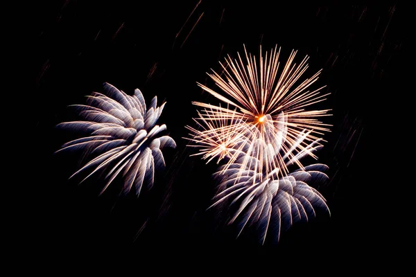 Fyrverkerier Firande För Juli — Stockfoto