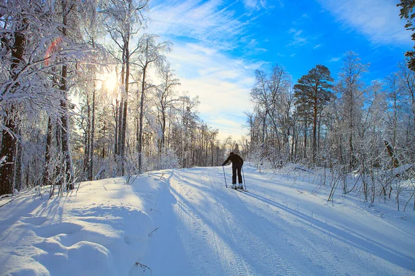 Skifahrer Auf Winterlichem Naturhintergrund — Stockfoto