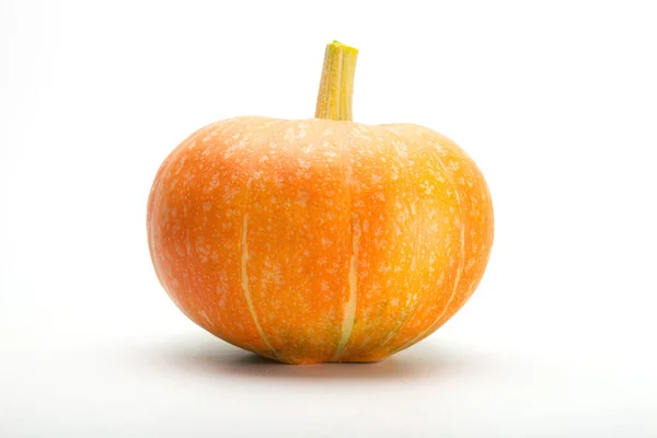 Orange Pumpkin White Background — Stock Photo, Image