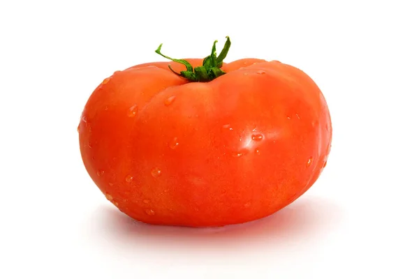 Tomatoes One Fresh Delicious Whole Tomato Isolated White Background — Stock Photo, Image