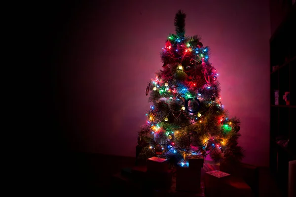 Sneeuw Bedekte Kerstboom Met Veelkleurige Lichten Nachts — Stockfoto