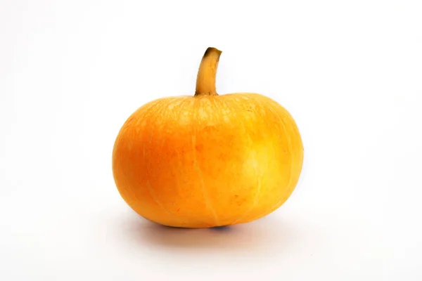 Orange Pumpkin White Background — Stock Photo, Image