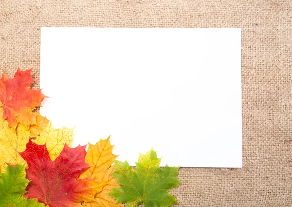 Autumn Leaves Textile Frame Fall Concept Stock Picture